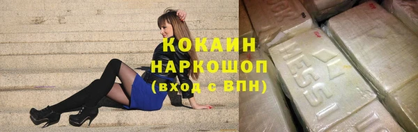 крисы Надым