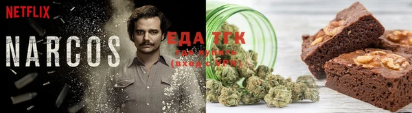 крисы Наволоки