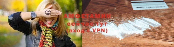 крисы Надым