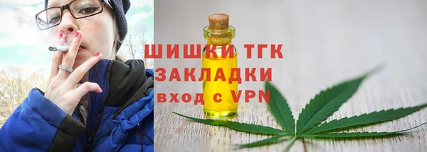 крисы Надым