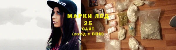крисы Надым