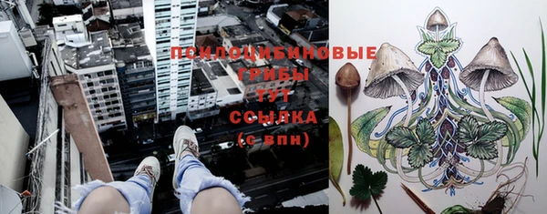 крисы Надым