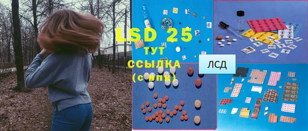 крисы Надым