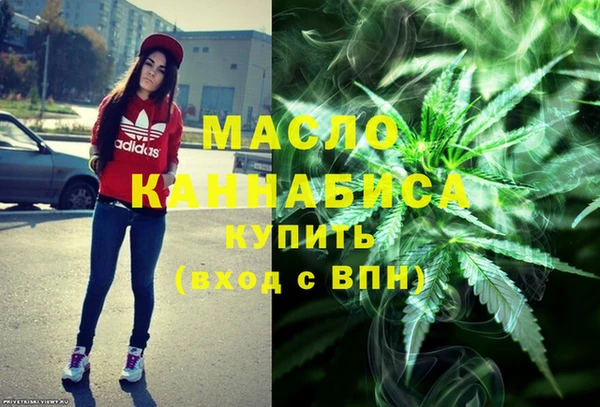крисы Надым