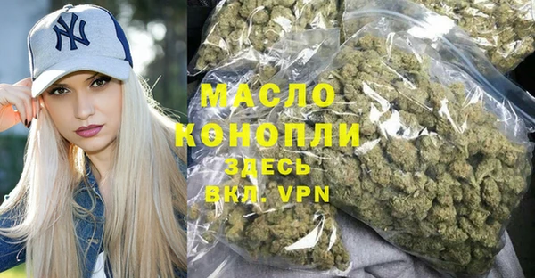крисы Надым