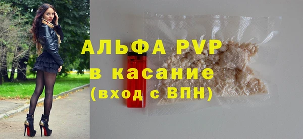 крисы Надым