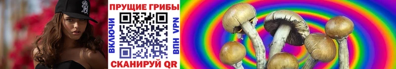 Псилоцибиновые грибы мицелий  Азнакаево 