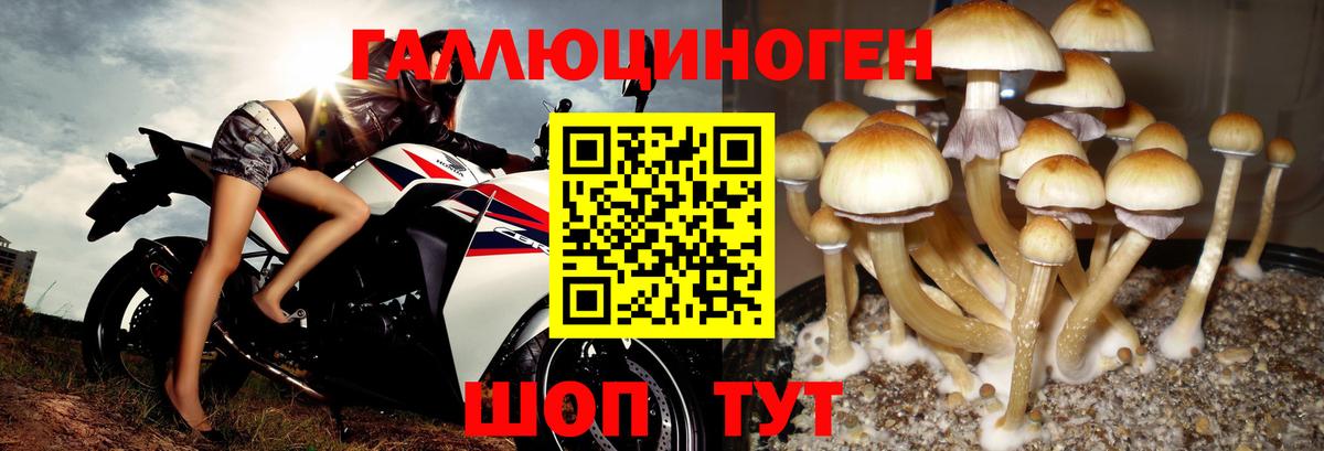 Азнакаево  Псилоцибиновые грибы мухоморы  Вход с VPN  закладки  Псилоцибиновые грибы мицелий 