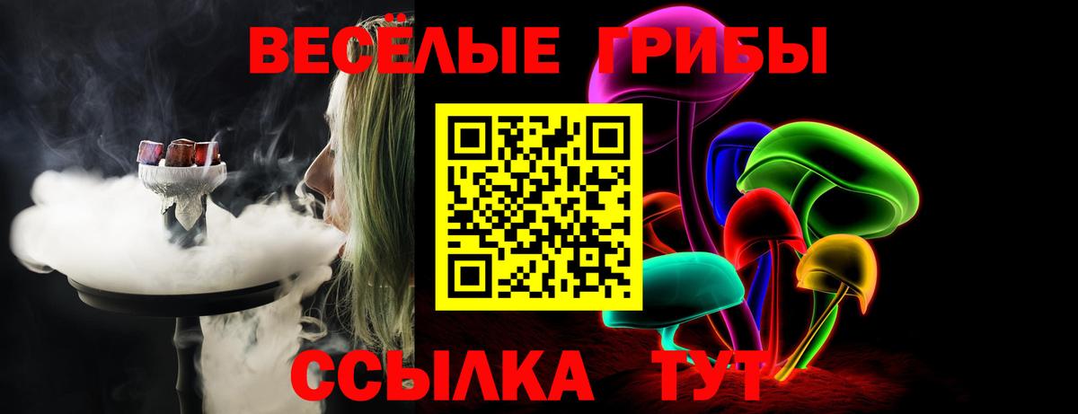 Псилоцибиновые грибы MAGIC MUSHROOMS Азнакаево
